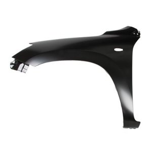 6504-04-8179315P Front fender L  with ind - Top1autovaruosad