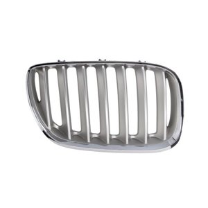 6502-07-0095998P Radiator Grille BLIC - Top1autovaruosad