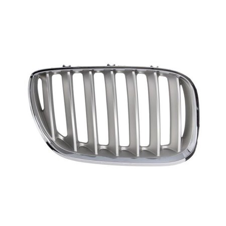 6502-07-0095998P Radiator Grille BLIC