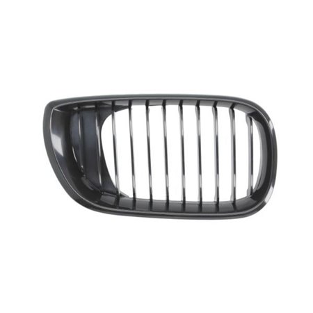 6502-07-0061994BP Radiator Grille BLIC