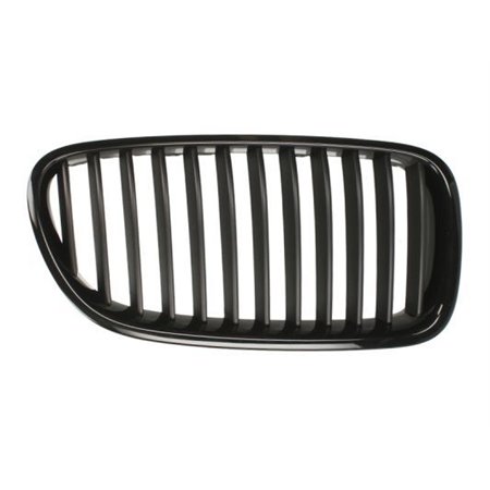 6502-07-0067991P Radiator Grille BLIC