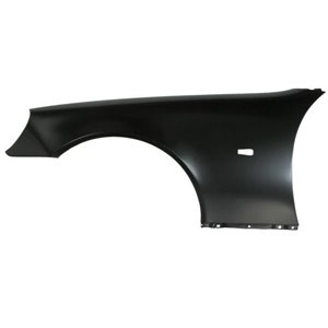6504-04-3563311P Front fender L  with ind - Top1autovaruosad