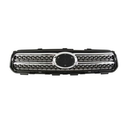 6502-07-8179991P Radiator Grille BLIC