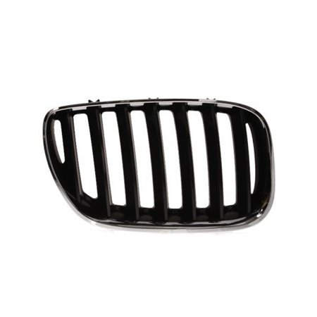 6502-07-0095996P Radiator Grille BLIC