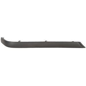 5513-00-0060973P Trim,Protection Strip, bumper BLIC - Top1autovaruosad