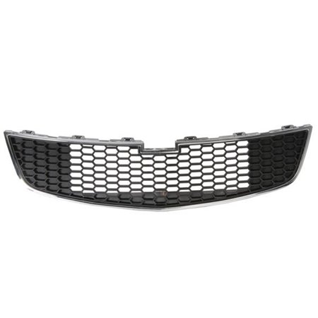 6502-07-1133991P Radiator Grille BLIC