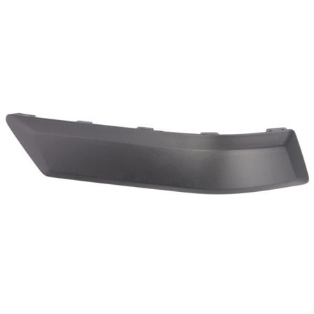 5703-05-2576975P Trim/Protection Strip, bumper BLIC