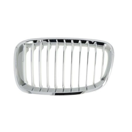 6502-07-0086993P Radiator Grille BLIC