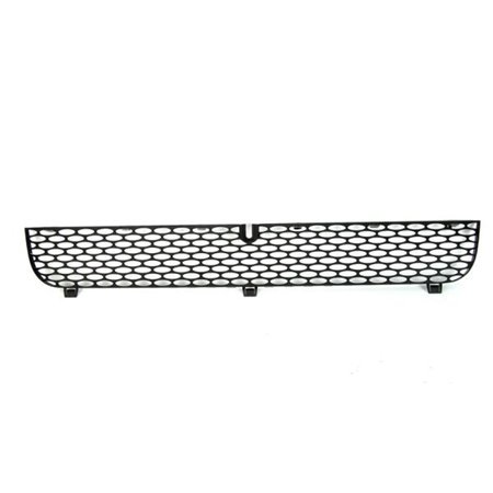 6502-07-2509990P Radiator Grille BLIC