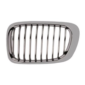 6502-07-0061993LP Radiator Grille BLIC - Top1autovaruosad