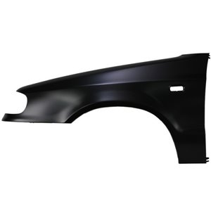 6504-04-7513313P Front fender L  with ind - Top1autovaruosad