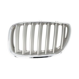 6502-07-0095997P Radiator Grille BLIC - Top1autovaruosad