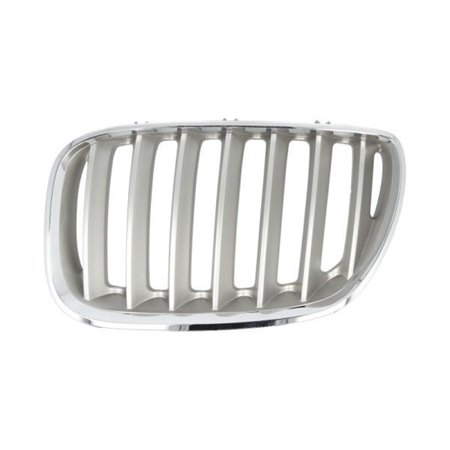 6502-07-0095997P Radiator Grille BLIC