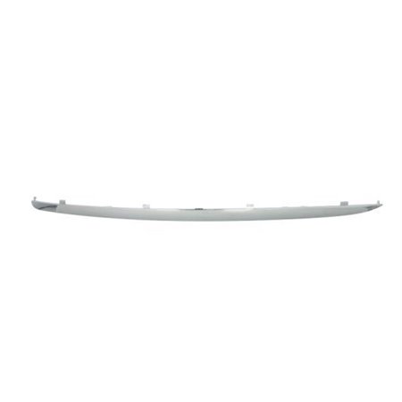 6502-07-9544923P Trim/Protection Strip, bumper BLIC