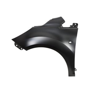 6504-04-2506311P Front fender L  with ind - Top1autovaruosad