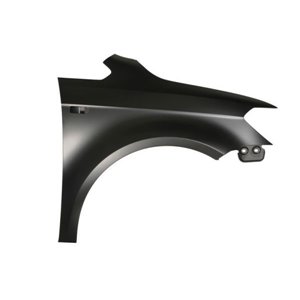 6504-04-9546312Q Front fender R (with indicator hole, steel, galvanized, CZ) fits: