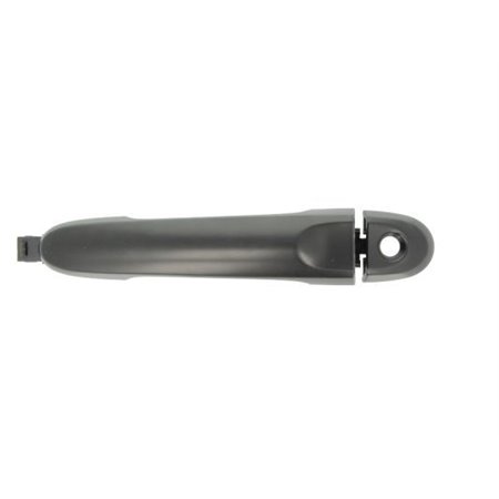 6010-16-059401P Exterior Door Handle BLIC