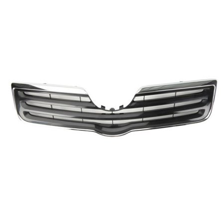 6502-07-8161991P Radiator Grille BLIC