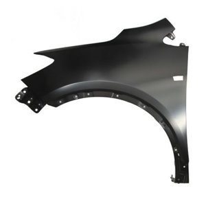 6504-04-5029311P Front fender L  with ind - Top1autovaruosad
