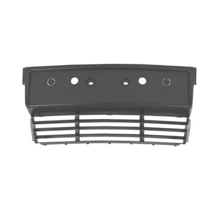 6509-01-0057920P Licence Plate Holder BLIC