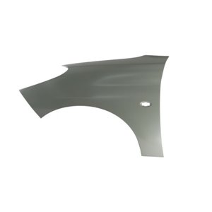 6504-04-5507313P Front fender L (with indicator hole) fits: PEUGEOT 206+ 01.09 12.