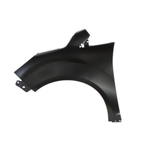 6504-04-2535311P Front fender L fits: FORD C MAX 12.10 12.19