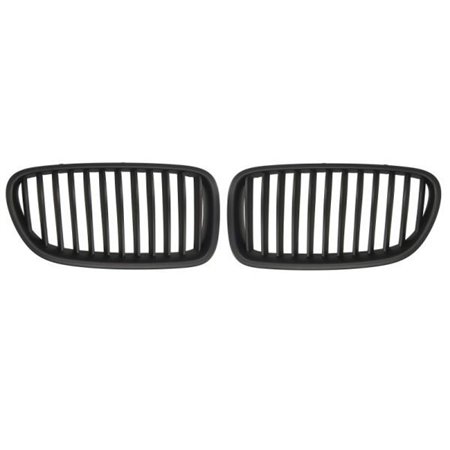 6502-07-0067991KP Radiator Grille BLIC