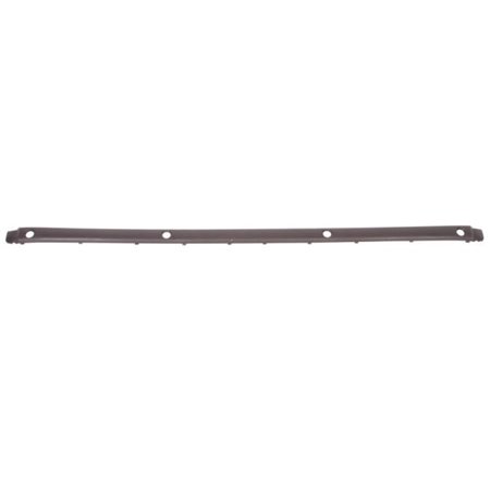 5703-05-0061975P Trim/Protection Strip, bumper BLIC