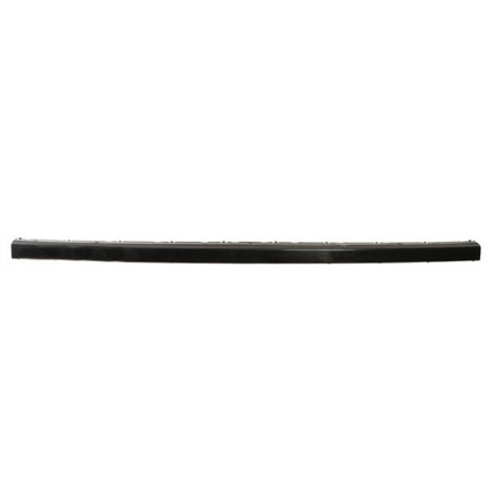 5703-05-0075979P Trim/Protection Strip, bumper BLIC