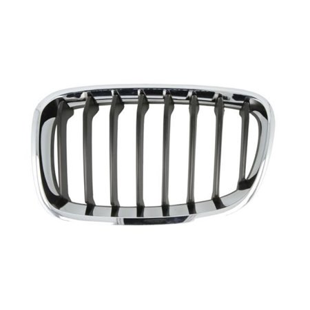 6502-07-0086995P Radiator Grille BLIC