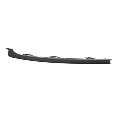 6502-07-5054912P Trim/Protection Strip, bumper BLIC