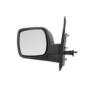 5402-04-1121561P Side mirror L (mechanical, embossed, under coated) fits: RENAULT 