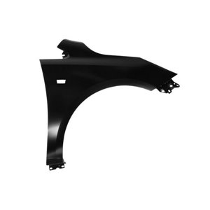 6504-04-5025312Q Front fender R (with indicator hole, steel, galvanized, THATCHAM)