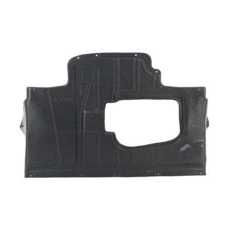 6601-02-9521860P Engine Cover BLIC