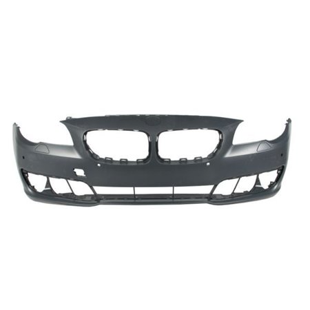 5510-00-0067904P Bumper BLIC