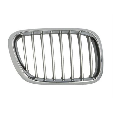 6502-07-0095992P Radiator Grille BLIC