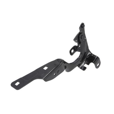 6802-00-6009451P Hinge, bonnet BLIC