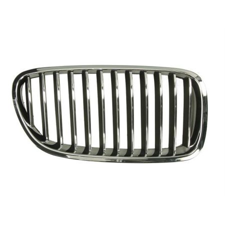 6502-07-0067994P Radiator Grille BLIC