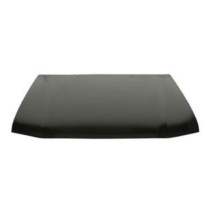 6803-00-8136280P Bonnet BLIC - Top1autovaruosad