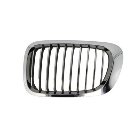 6502-07-0061996LP Radiator Grille BLIC