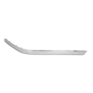 5703-05-3580972P Trim,Protection Strip, bumper BLIC - Top1autovaruosad