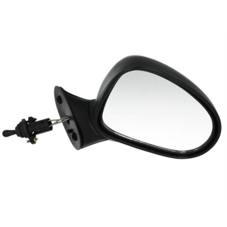 5402-04-1115193P Exterior Mirror BLIC