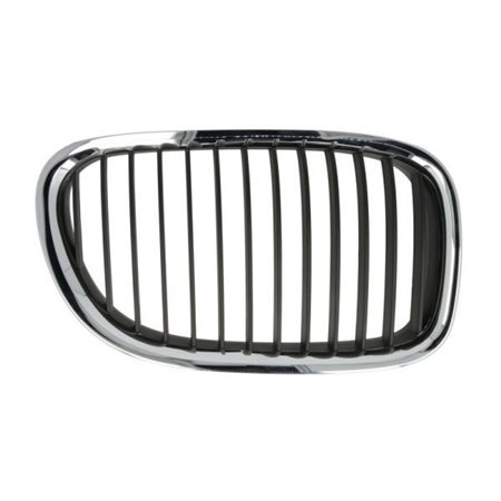 6502-07-0077992P Radiator Grille BLIC