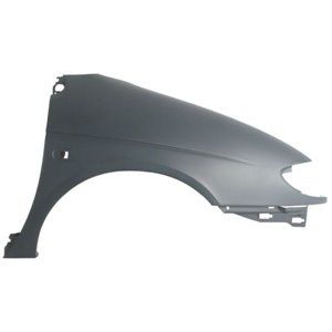 6504-04-6038312P Front fender R (with indicator hole, plastic) fits: RENAULT MEGAN