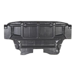 6601-02-0095860P Engine Cover BLIC - Top1autovaruosad