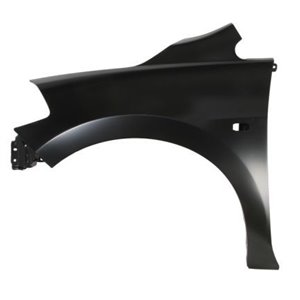 6504-04-1636311P Front fender L  with ind - Top1autovaruosad