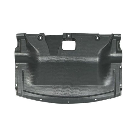 6601-02-0061861P Engine Cover BLIC