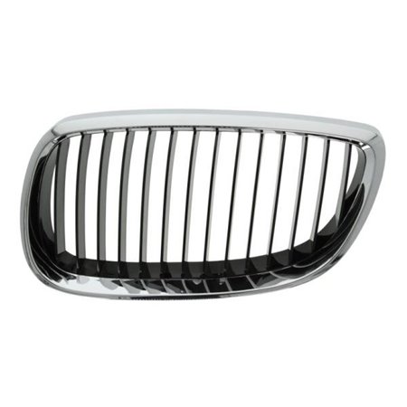 6502-07-00629916P Radiator Grille BLIC