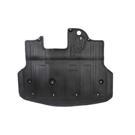 6601-02-3138860P Engine Cover BLIC