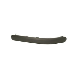 5703-05-2576971P Trim,Protection Strip, bumper BLIC - Top1autovaruosad